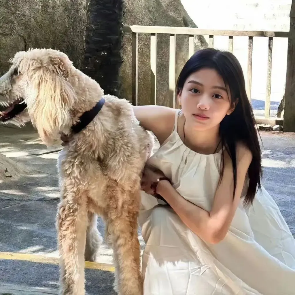 暗杀 海报
