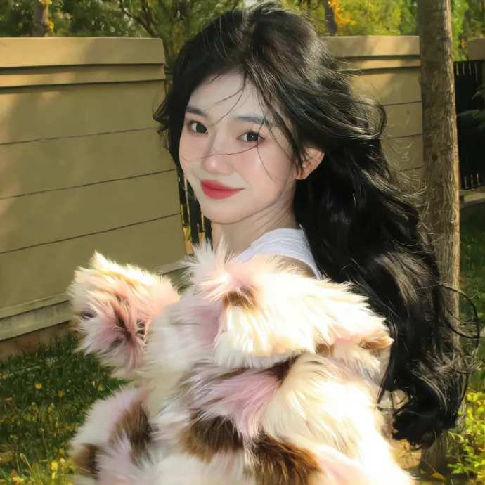 龙猫 海报
